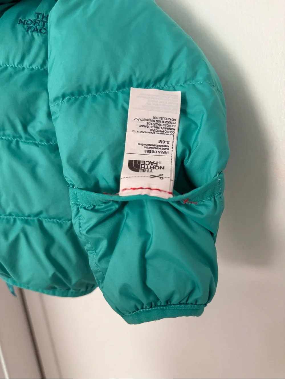 The North Face Teal/Turquoise Kids Puffer reversible hooded and mittens